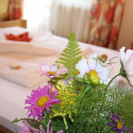 Aloisl's Harmonie 3* ناودرس