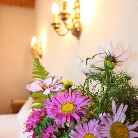 Guest house Aloisl's Harmonie Nauders